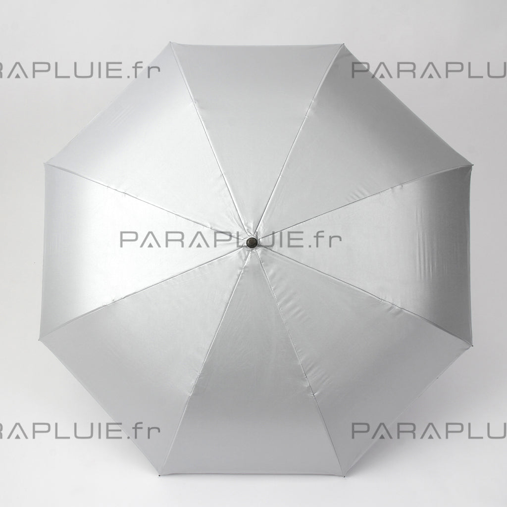 Silver/Black (Ref1629)