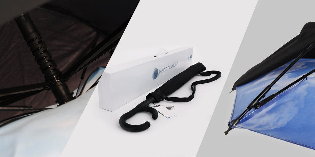 Daisy Life (Ref1611)