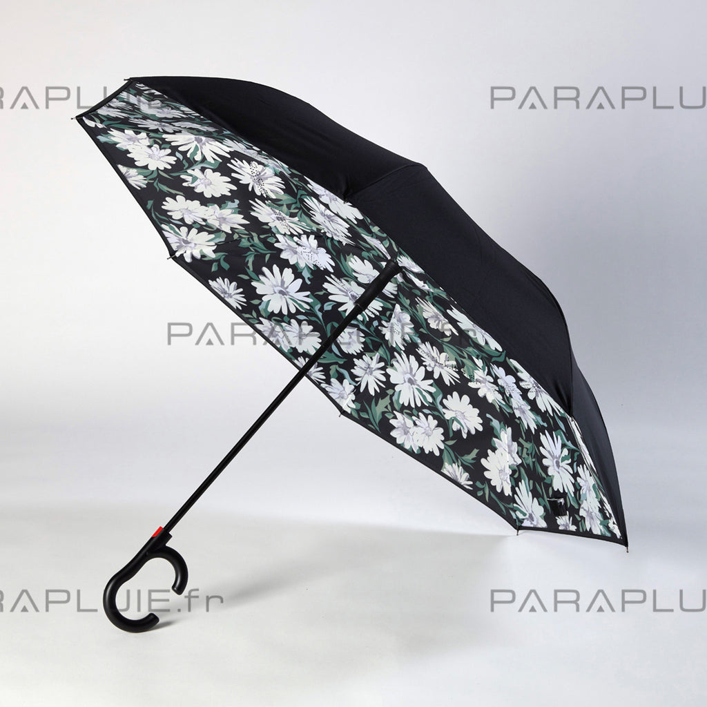 Daisy Life (Ref1611)