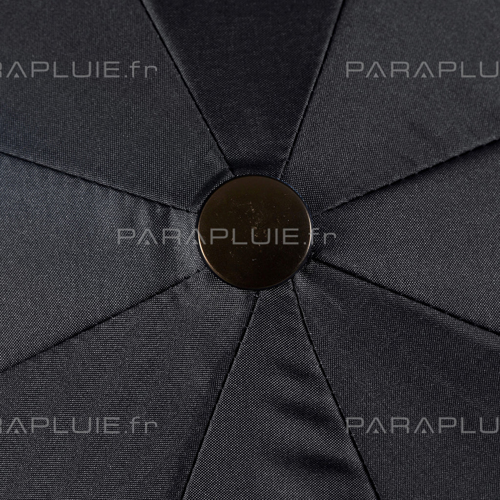 Daisy Life (Ref1611)